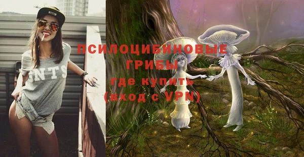 винт Медвежьегорск