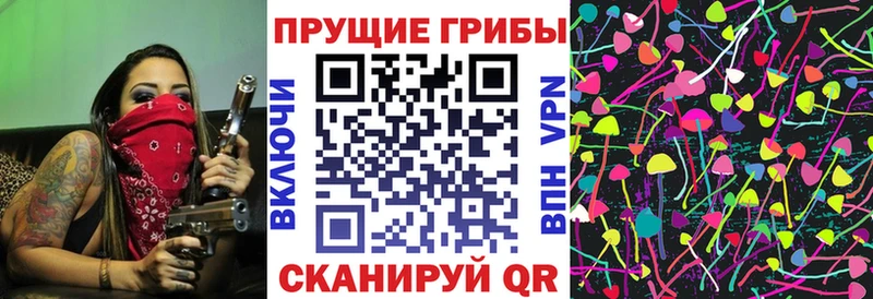 Псилоцибиновые грибы Psilocybine cubensis  Вилючинск 